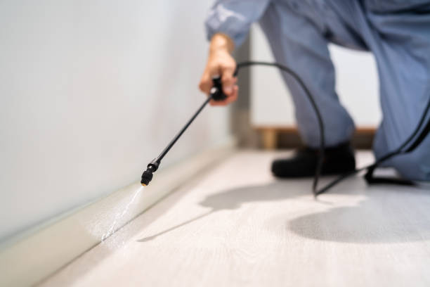 Bed Bug Pre-Treatment Preparation Assessment in Edgewood