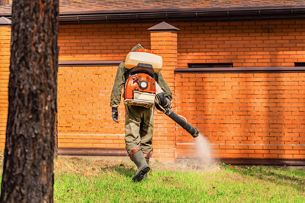 Bed Bug Clearance Verification and Documentation in Edgewood